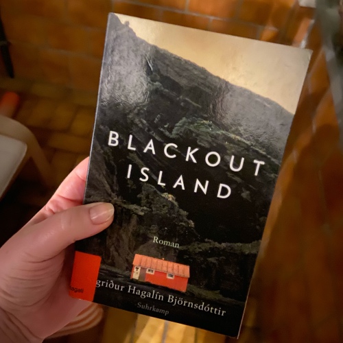 Buch: Blackout Island